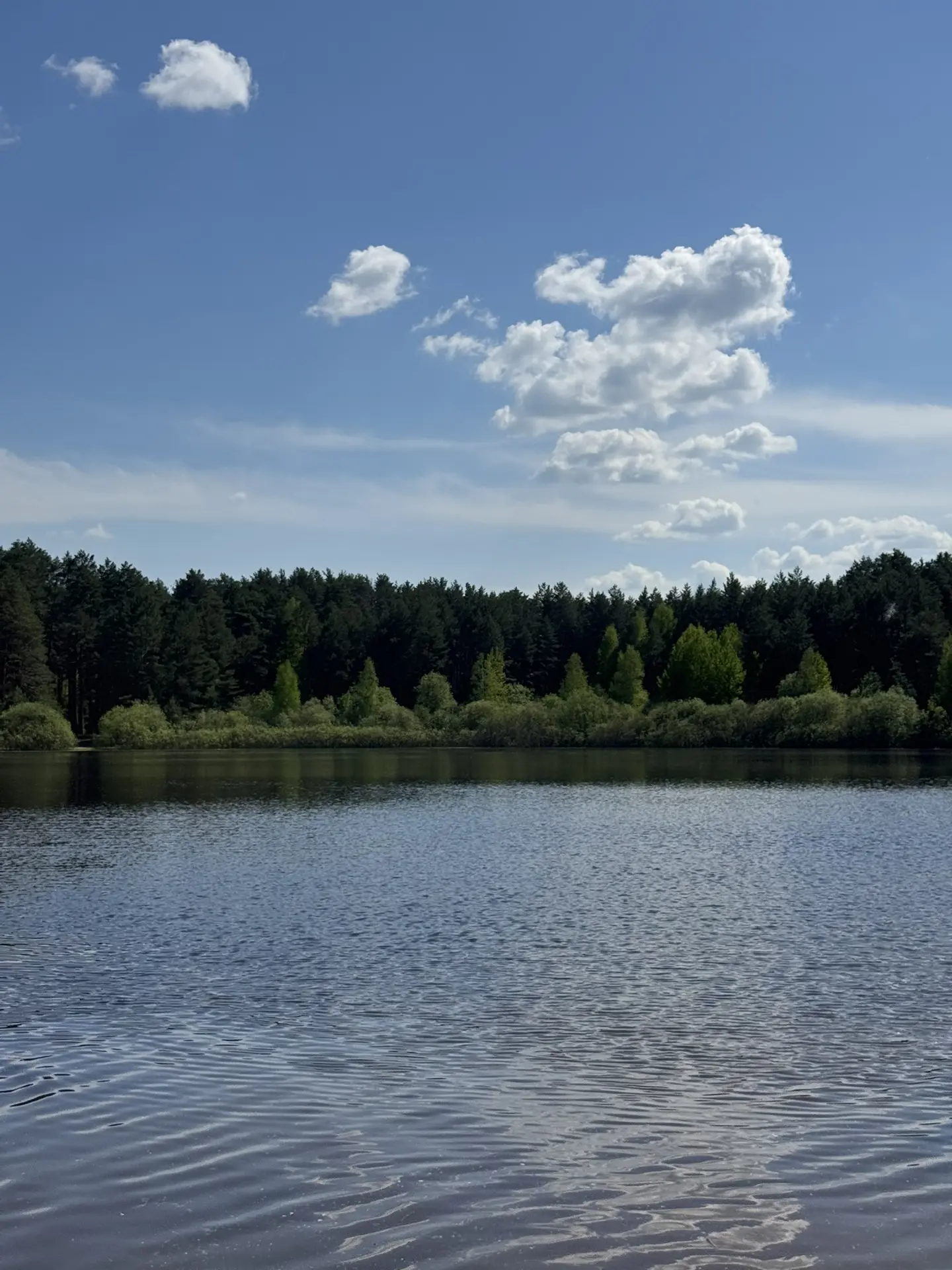 Без чего вам точно не обойтись в ближайшие длинные выходные☀️

🌵Репелленты!! В этом году из-за прод