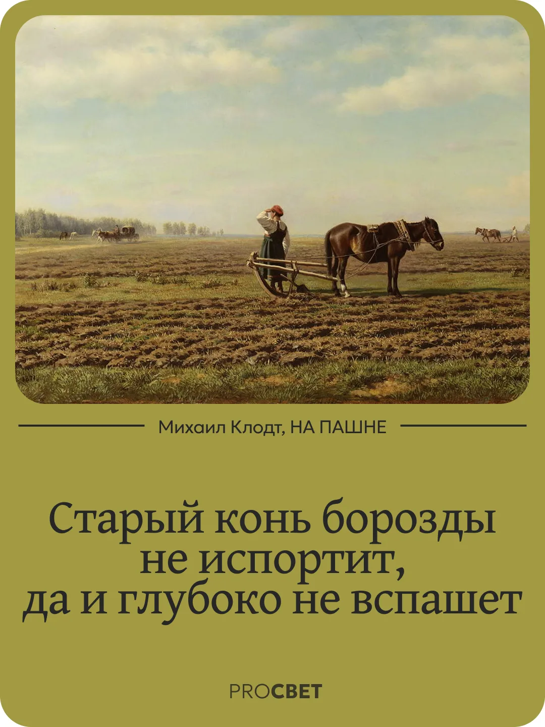 Мы часто слышим пословицу «Старый конь борозды не испортит». Но это лишь первая её часть. Полностью 