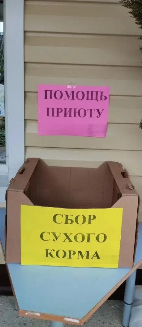 Напоминалочка