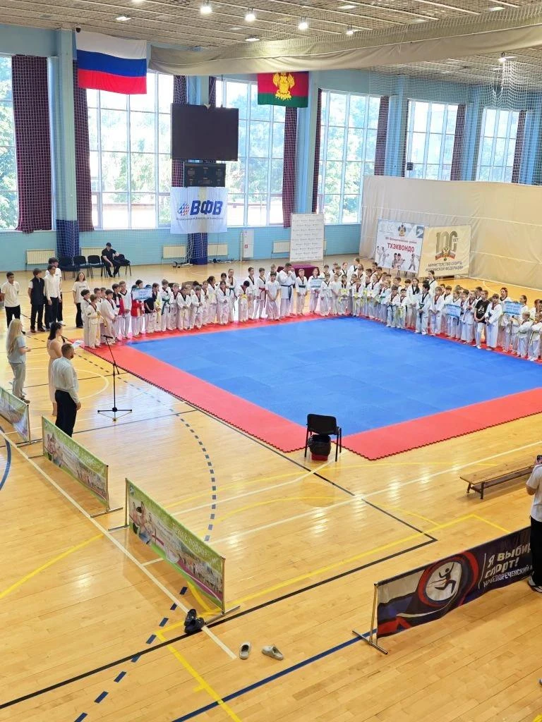 🥋 В Белореченске торжественно открыли Первенство по тхэквондо-ВТФ «Мы выбираем спорт»!

7 июня 2026