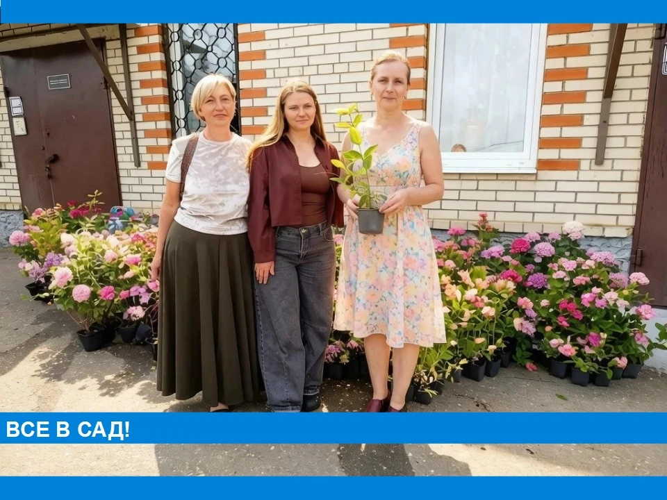Питомник Орловых осуществил поставку  саженцев  в наш интернат, в отделения   в Суздаль и Торчино. П