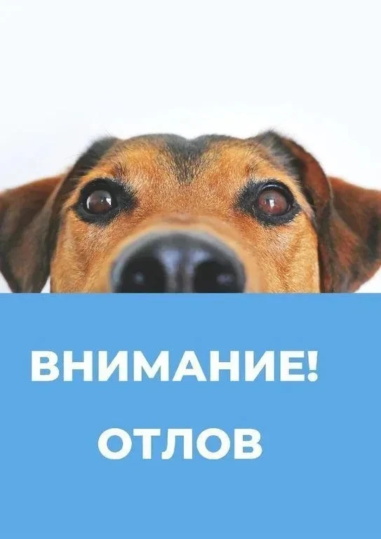 Уважаемые жители Асекеевского района!
 
Администрация муниципального образования доводит до вашего с