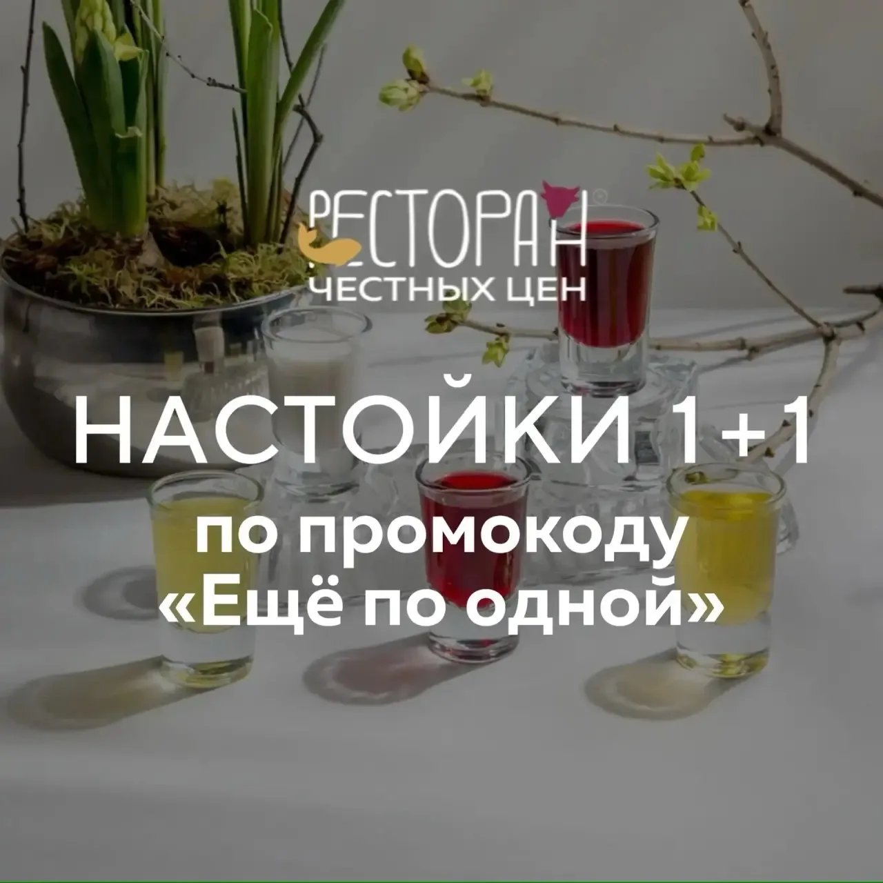Настойки 1+1! 🔥

Приходите в РЧЦ, заказывайте фирменную настойку, называйте промокод из мобильного 