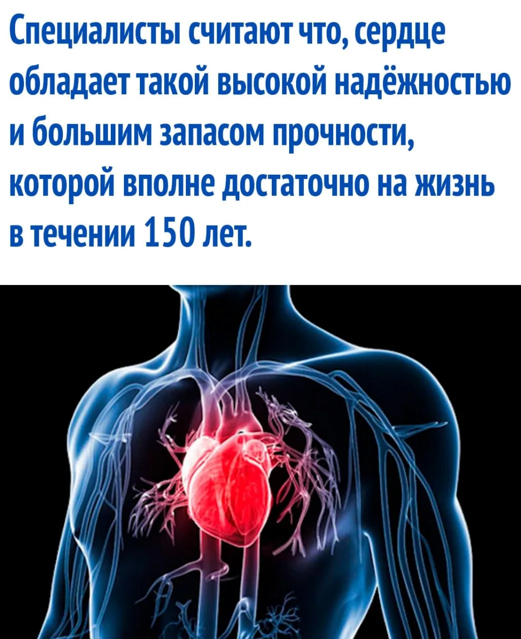 интересные факты / тайны / загадки / наука

https://max.ru/interesnie_fakti1