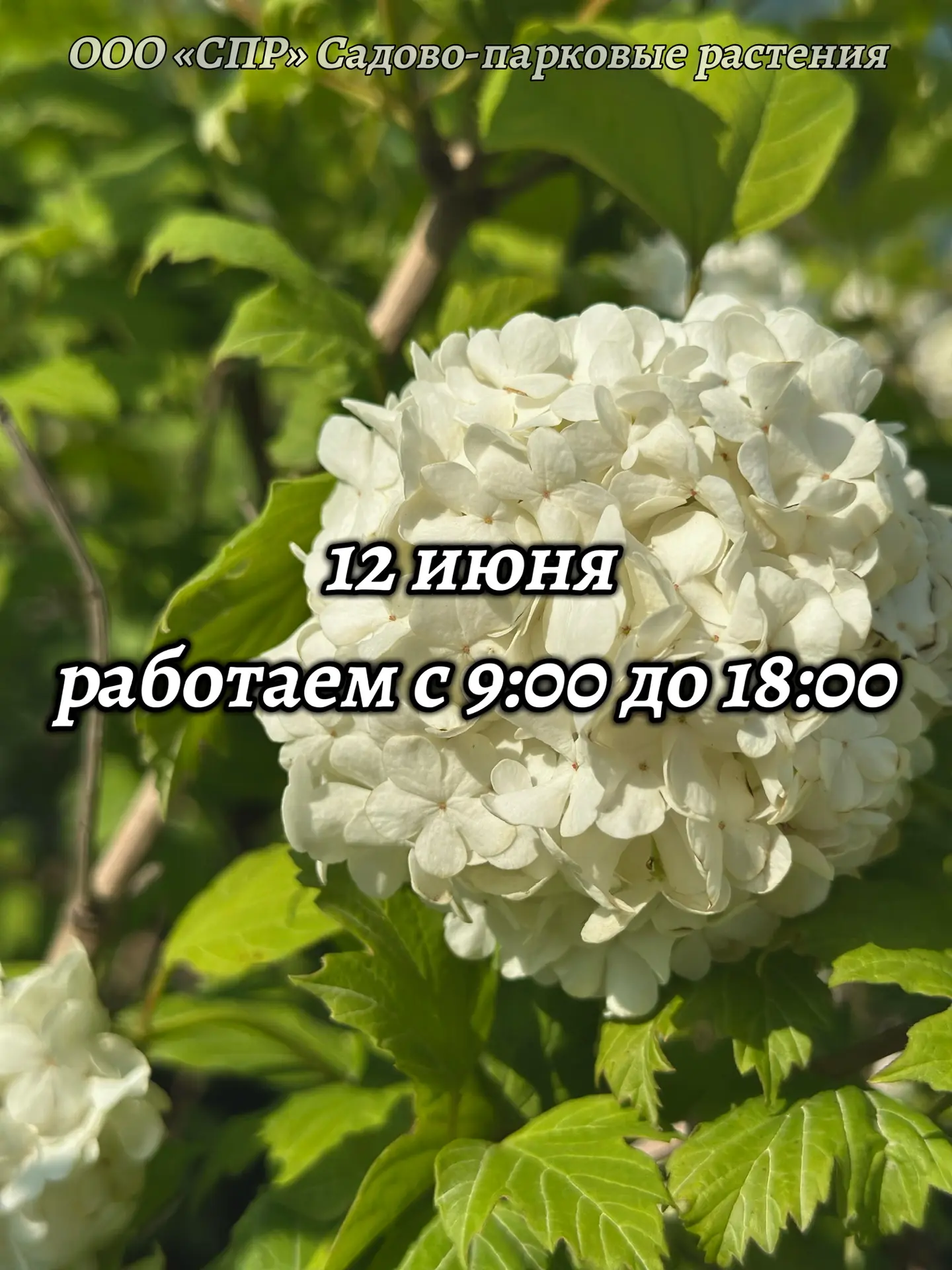Уважаемые покупатели!

12 июня торговая площадка работает с 9:00 до 18:00. 
Пожалуйста, учитывайте э