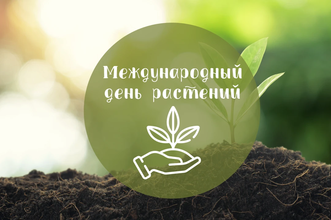 День растений в группе «Земляничка» — праздник красоты, знаний и творчества. 🌿
🍀💐🌳🍀💐🌳🍀💐🌳🍀