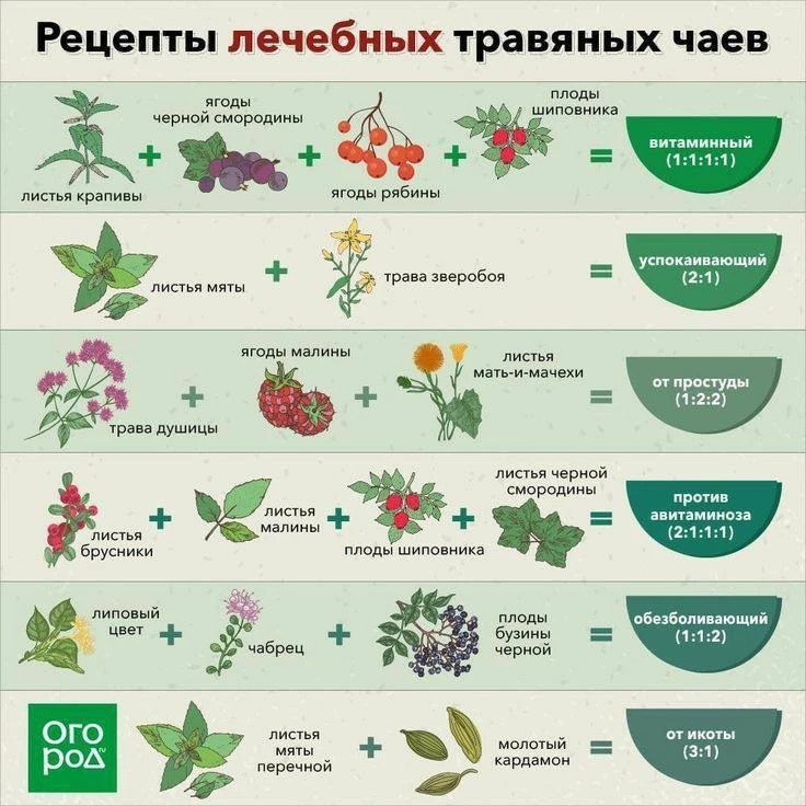 Рецепты лечебных травяных чаев 💚

Сохрани, чтобы не потерять