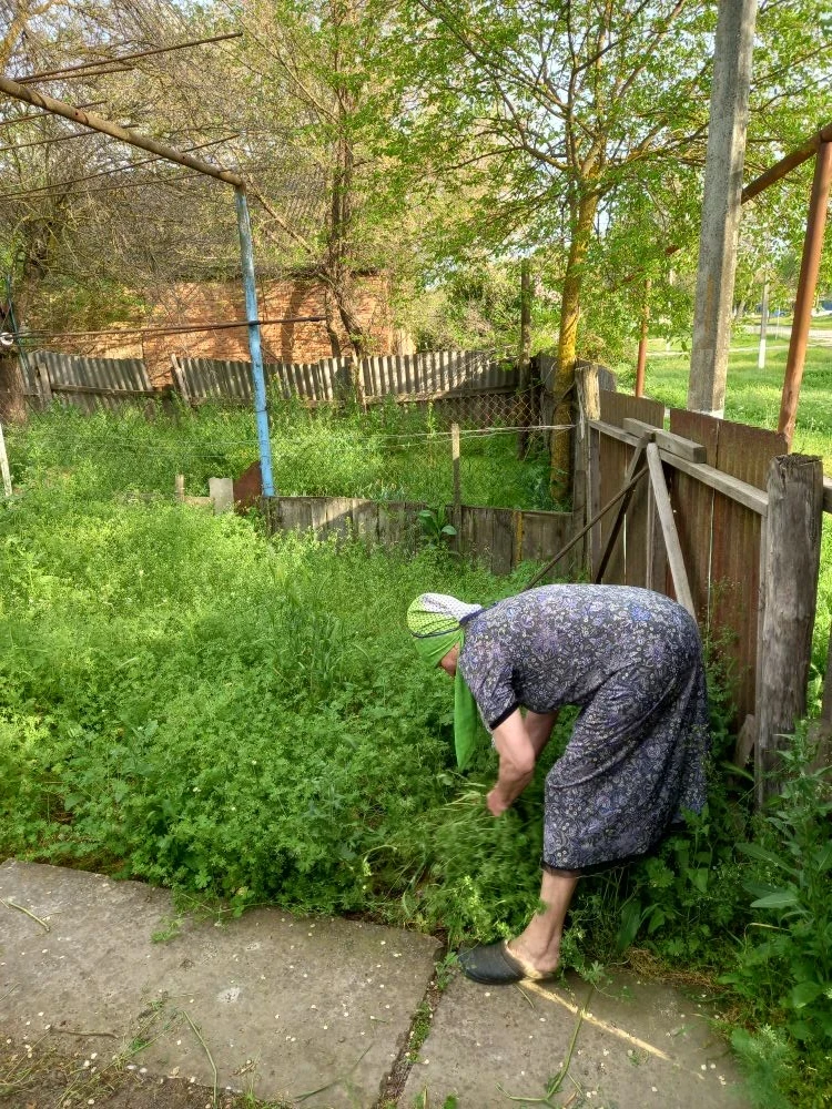📢 Чистота, забота и уважение к ветеранам: как в хуторе Восточный встретили День Победы

В преддвери