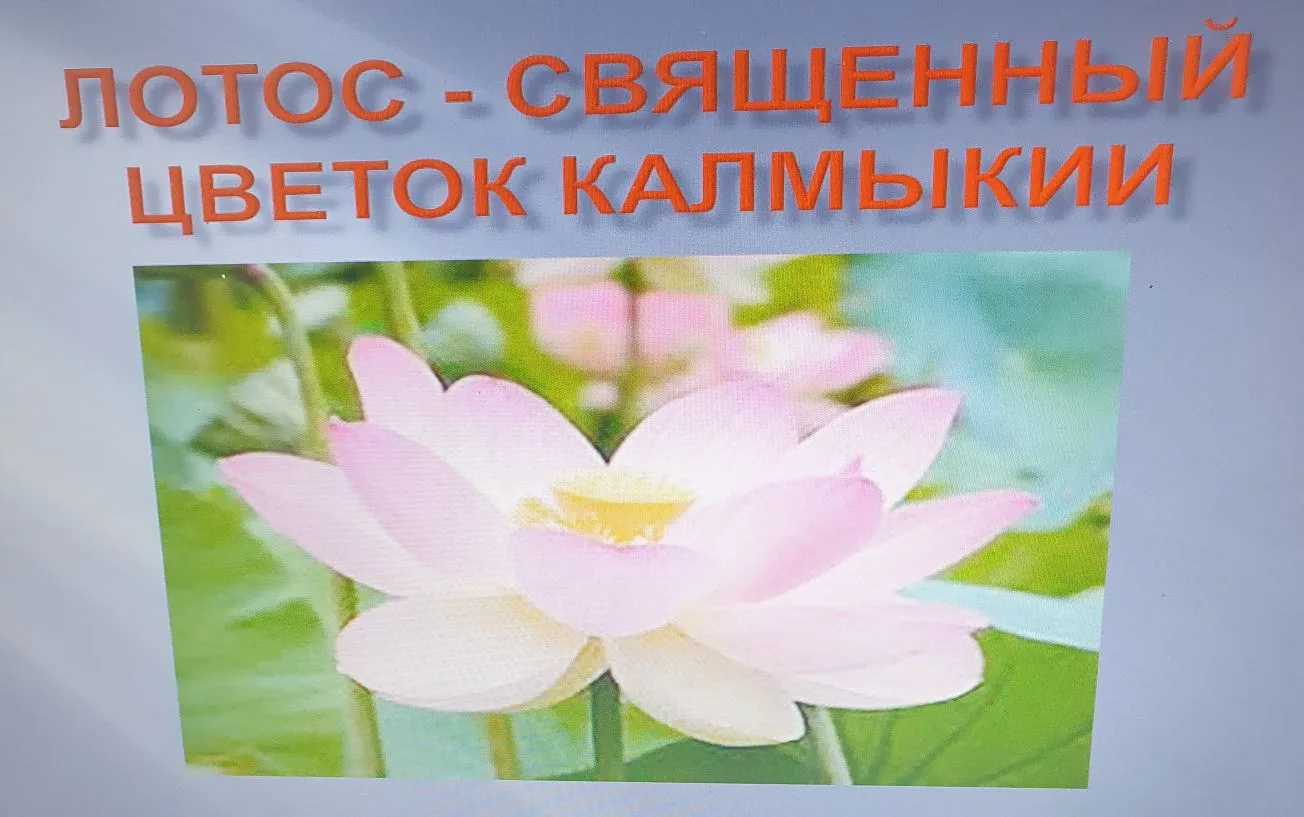 🪷 В 1-2 классах в рамках Дня Республики Калмыкия прошёл  мастер-класс "Цветок лотоса", на котором р