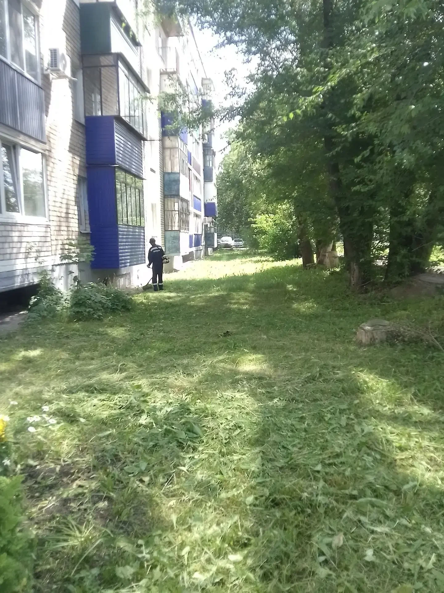 🌿 Уборка и обслуживание:

✔ Покос травы: ул. Волочаевская д. 6, ул. Цементников д. 5, ул. Элеваторн