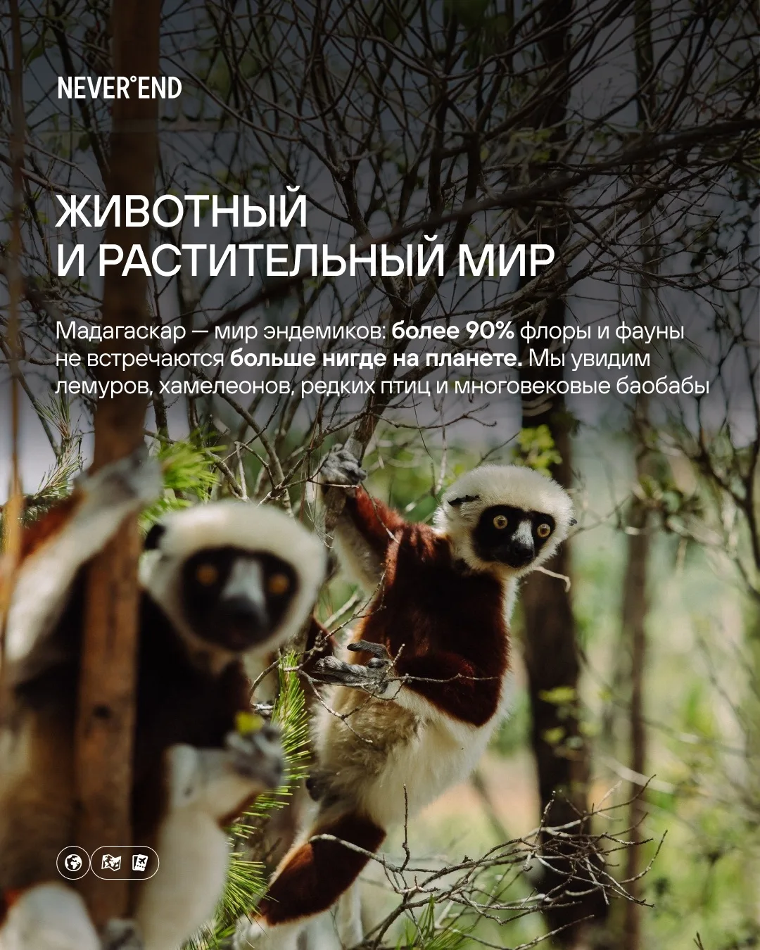 Осенью отправляемся на Мадагаскар 

В прошлом году мы впервые отправились на этот остров и получили 