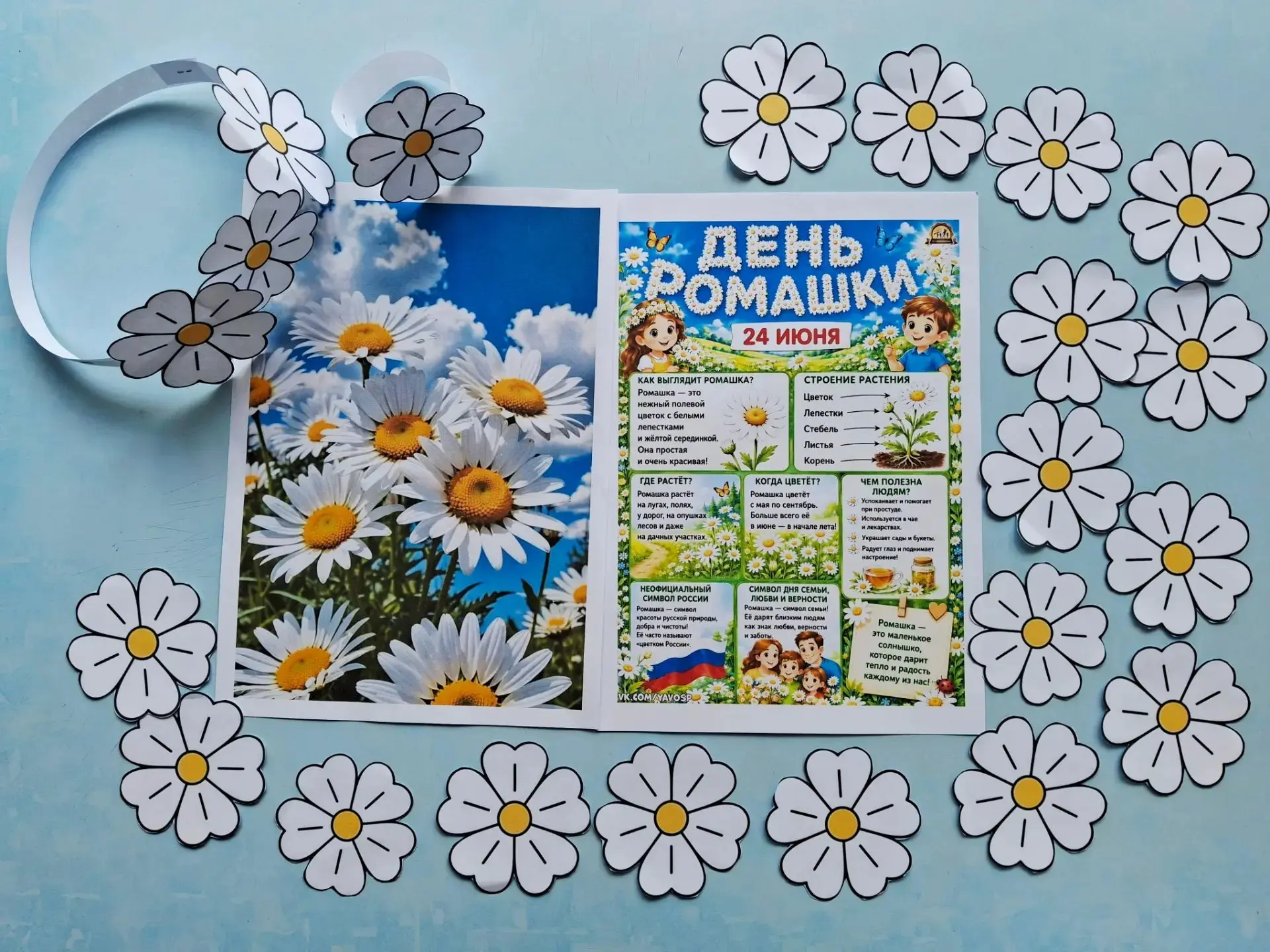 День ромашки — один из самых светлых и добрых праздников, который официально отмечается в России 24 