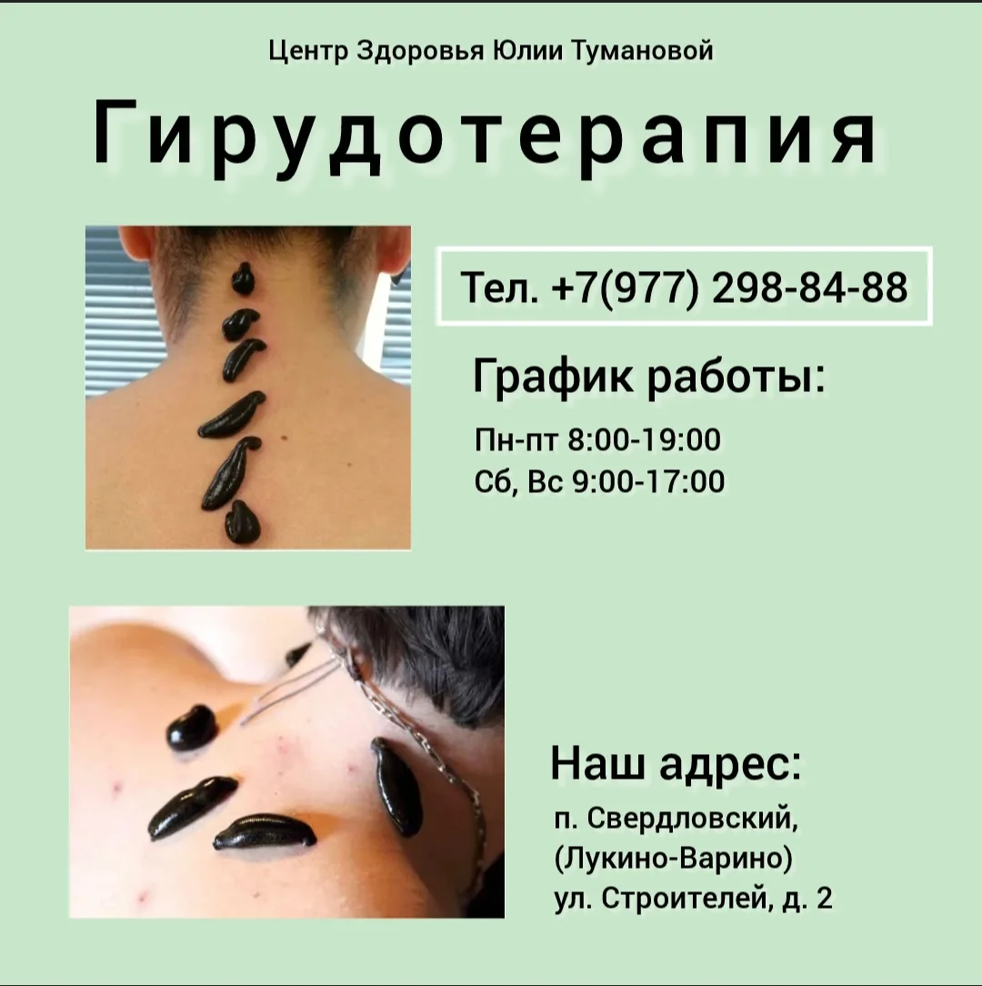 Гирудотерапия — метод лечения с использованием медицинских пиявок (Hirudo medicinalis). 
Это один из