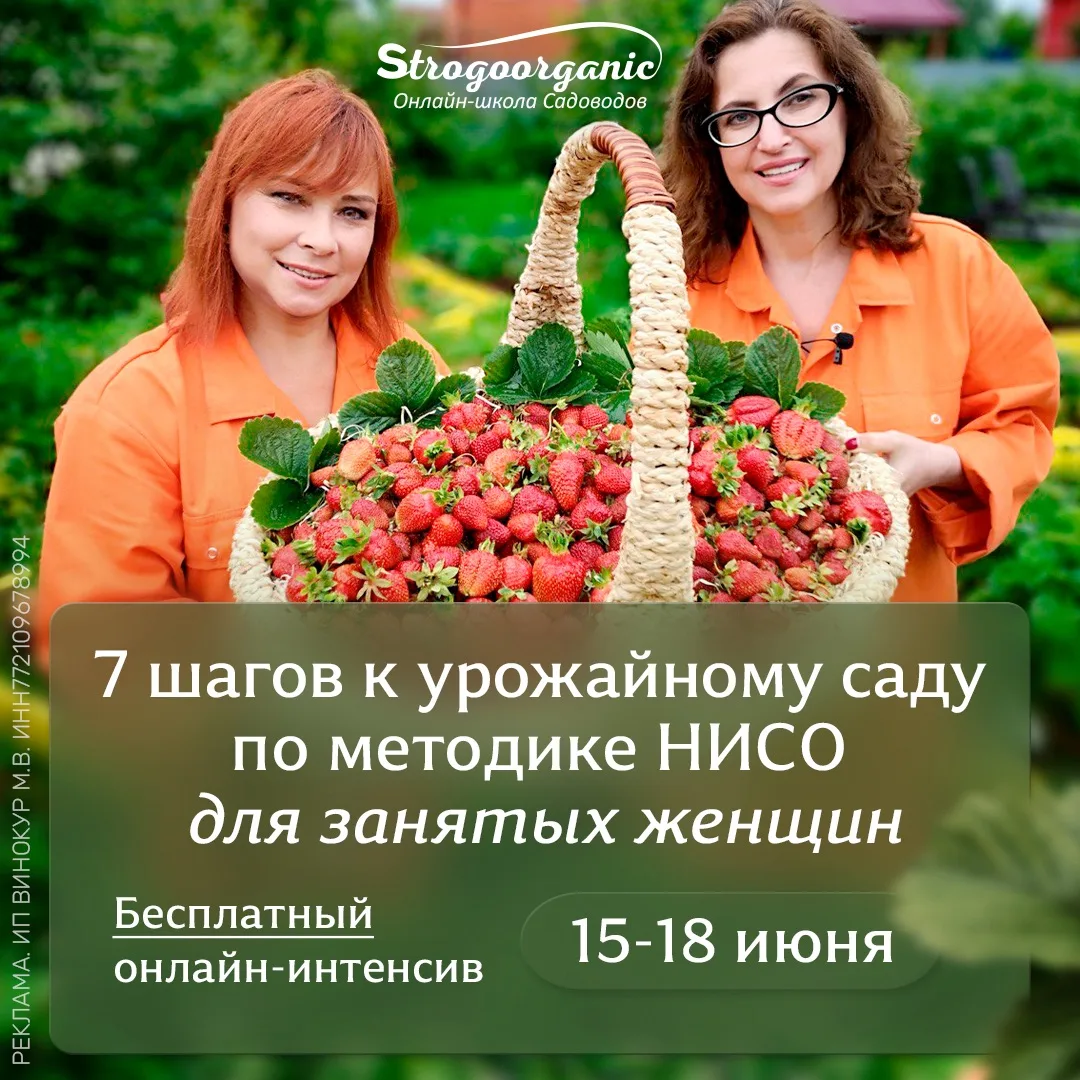 🌞"Летний день год кормит" - говорили наши предки и были правы!
⠀
Июнь - месяц, когда у садовода мно