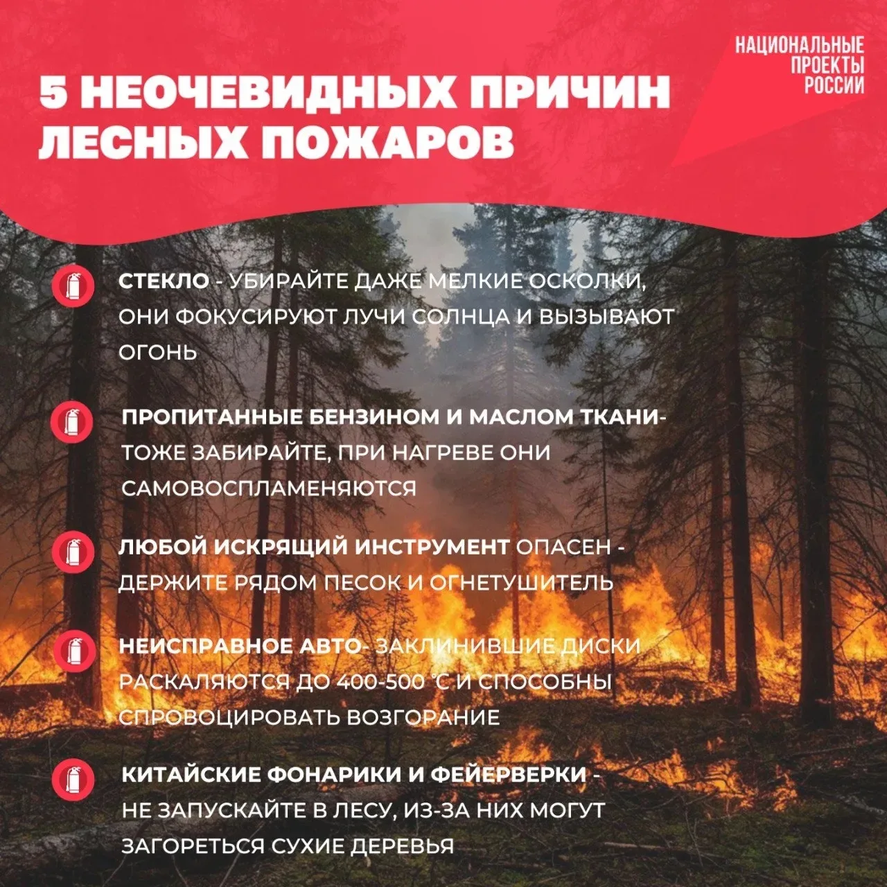 🌲 Пожары в лесах происходят не только из-за костров, но и из-за безобидных на первый взгляд действи