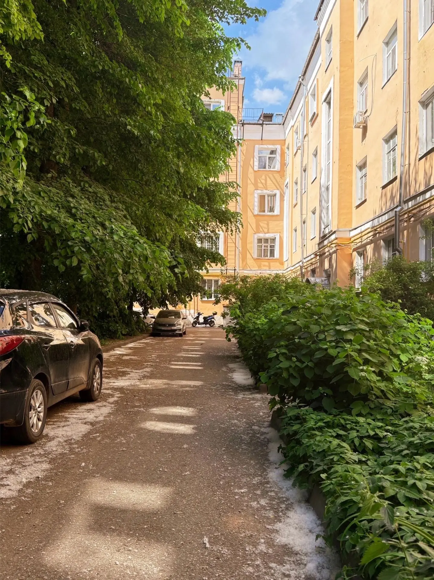 Зелёный дворик в Твери🌿

Фото: Ольга Хрупова 

#тверская #тверскойкруг