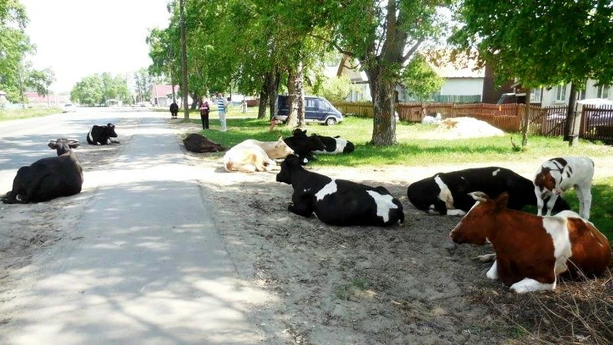Уважаемые жители! 
 
Напоминаем, что в соответствии с действующим законодательством Российской Федер