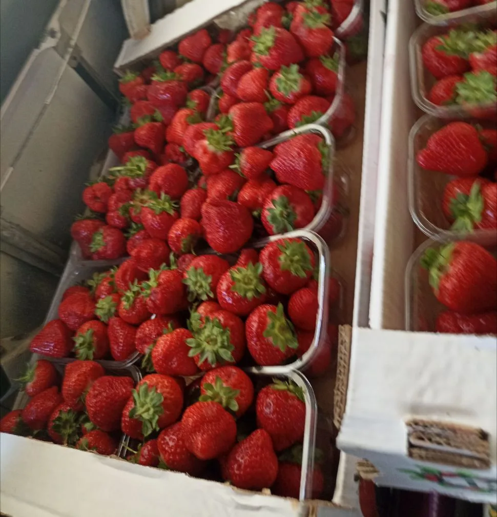 Продам 300р за