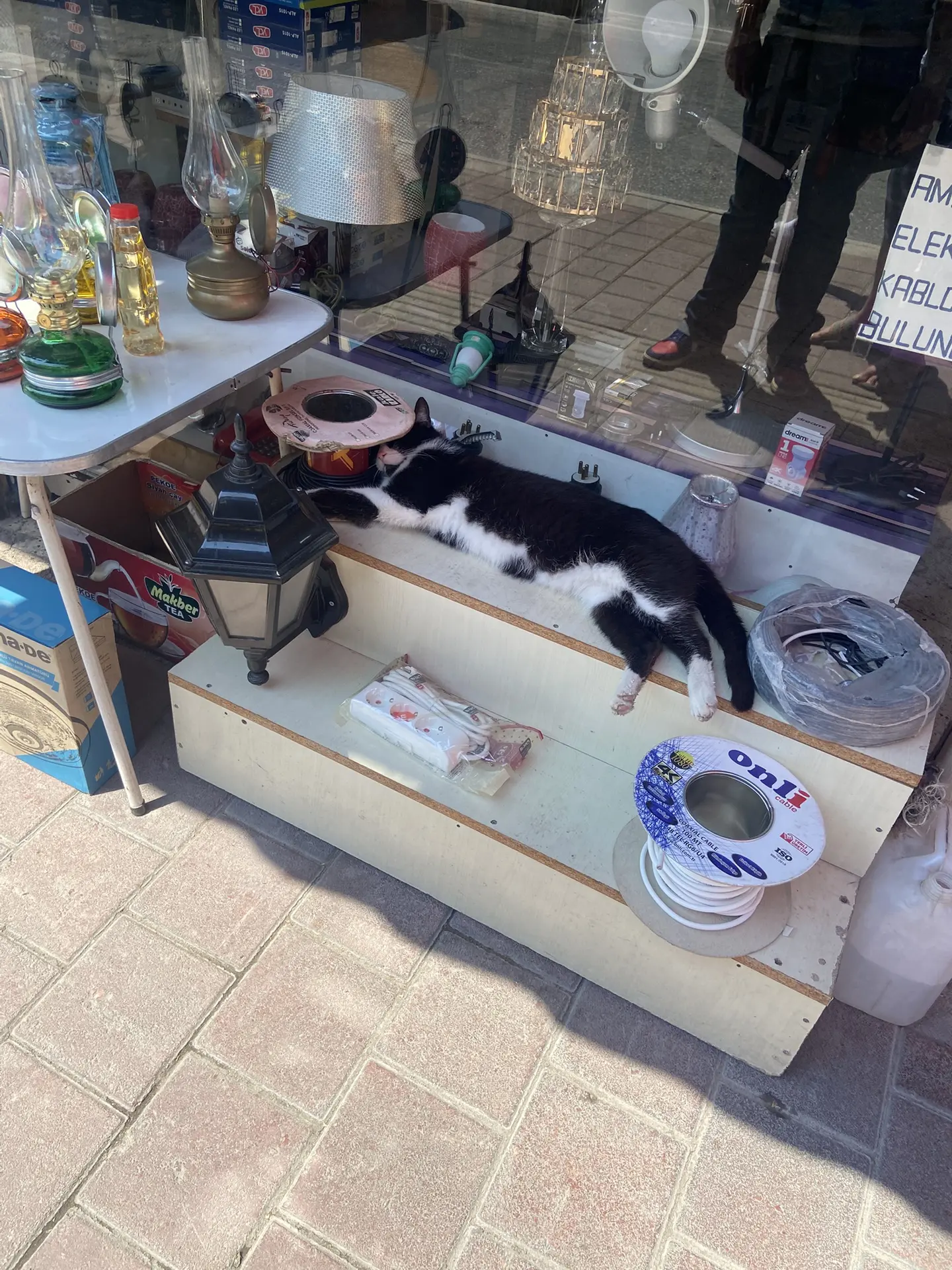Продавец устал 😁😁😁🐈‍⬛🐈🐈‍⬛