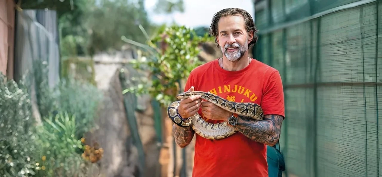 **Рынок с холодной кровью: где деньги в товарах для рептилий 🐍**

Террариумистика — ниша, где экспе