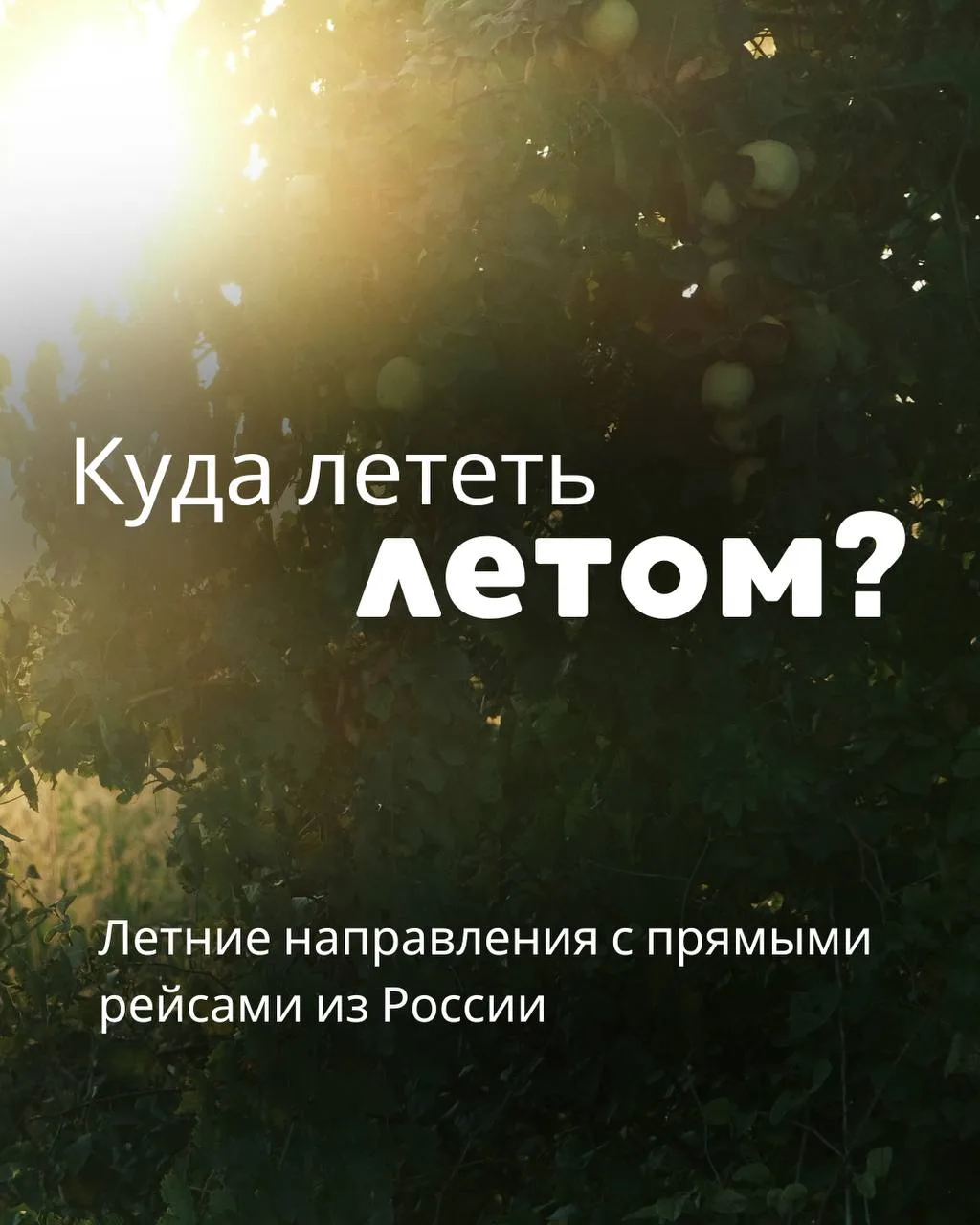 Краткий обзор вариантов направлений с прямыми рейсами 
из России✈️

Также варианты вылетов по города