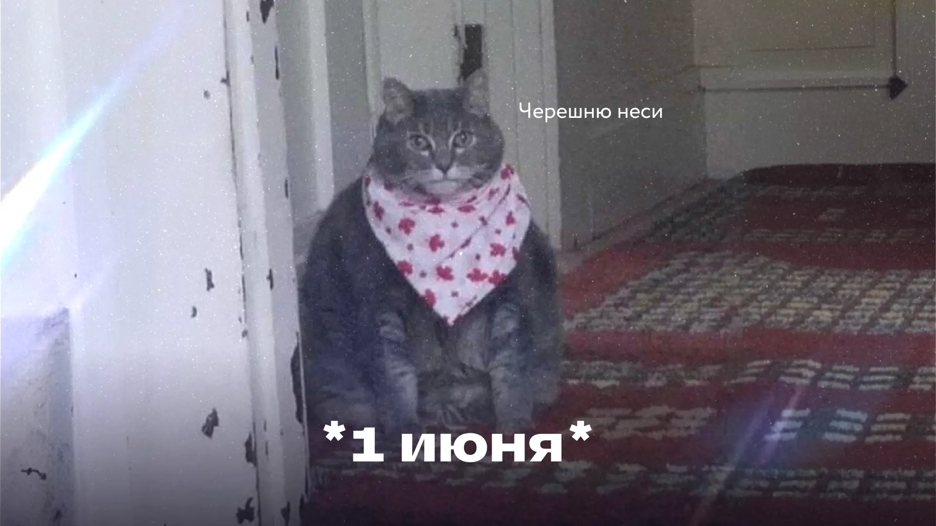 Впереди три месяца без школы — для детей это праздник, а для родителей — испытание. Ведь нужно решит