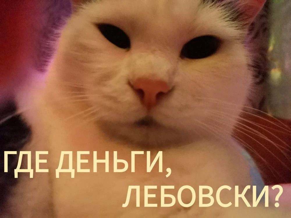 Реально ли сейчас жить без кредитов?

Света уже 7 лет живёт в кредитном круговороте

Всё начиналось 