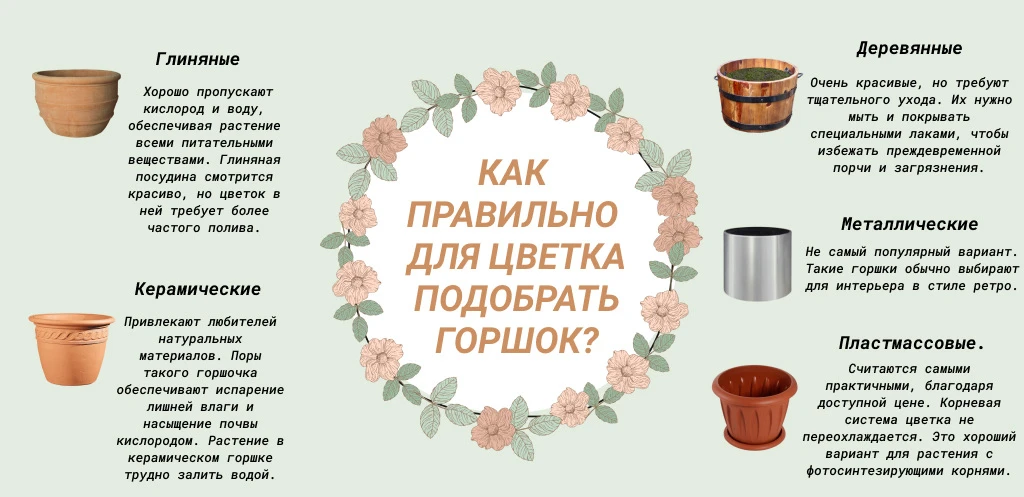 Разные материалы для цветочных горшков🪴