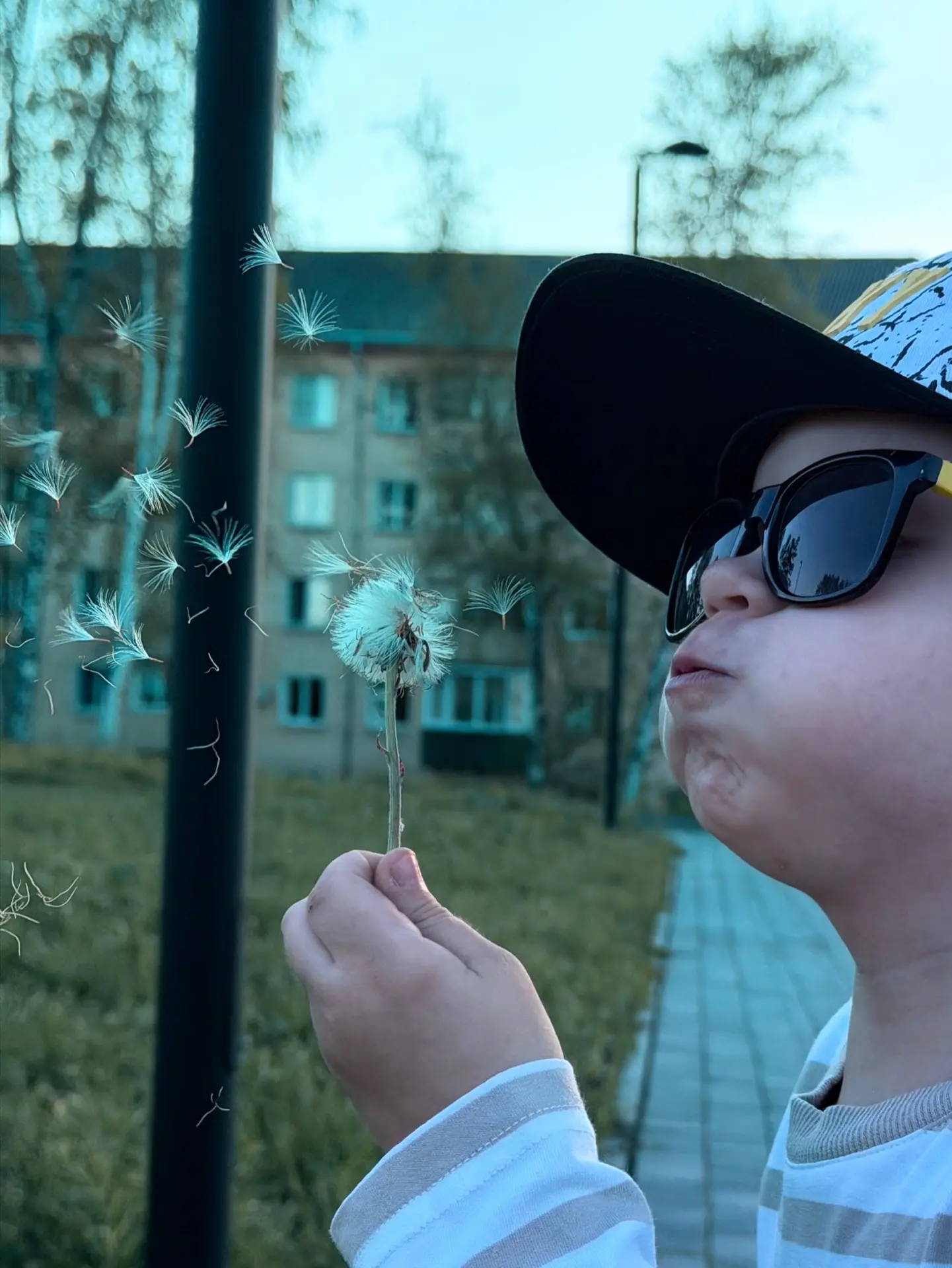 Вам тоже кажется, что мир стал слишком громким и быстрым? 🌍🔊⚡

Канал «Алёнкины мысли 💭» — это кно