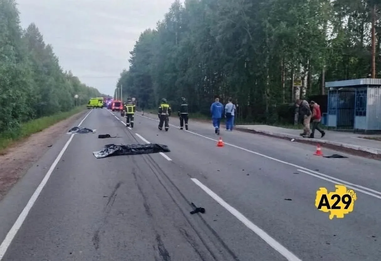 Жесткое ДТП под Северодвинском: в аварии с мотоциклом погибли два человека

Минувшей ночью недалеко 
