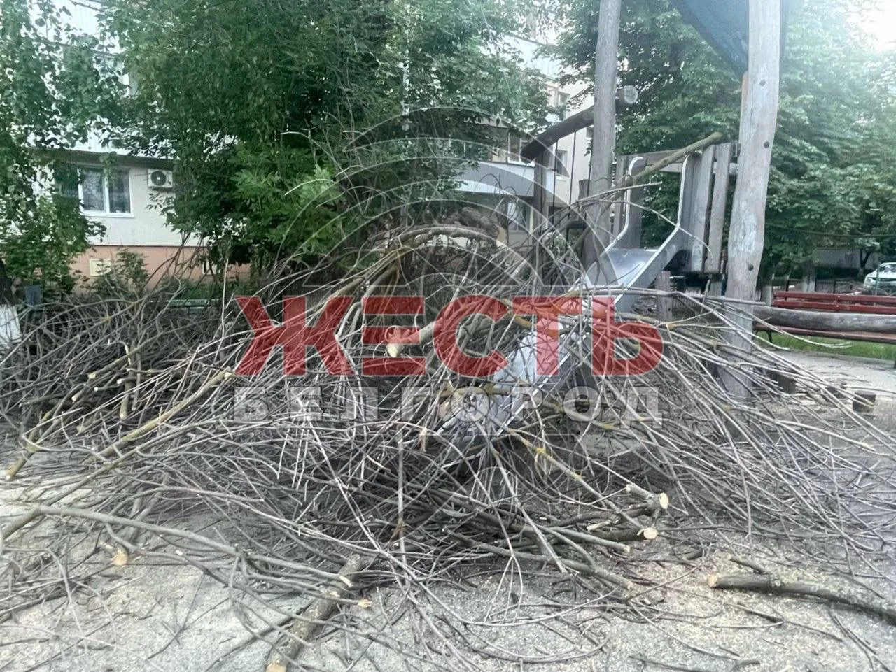 🤯 Детская площадка на улице Пугачёва, 16 превратилась в склад веток

По словам местных жителей, так