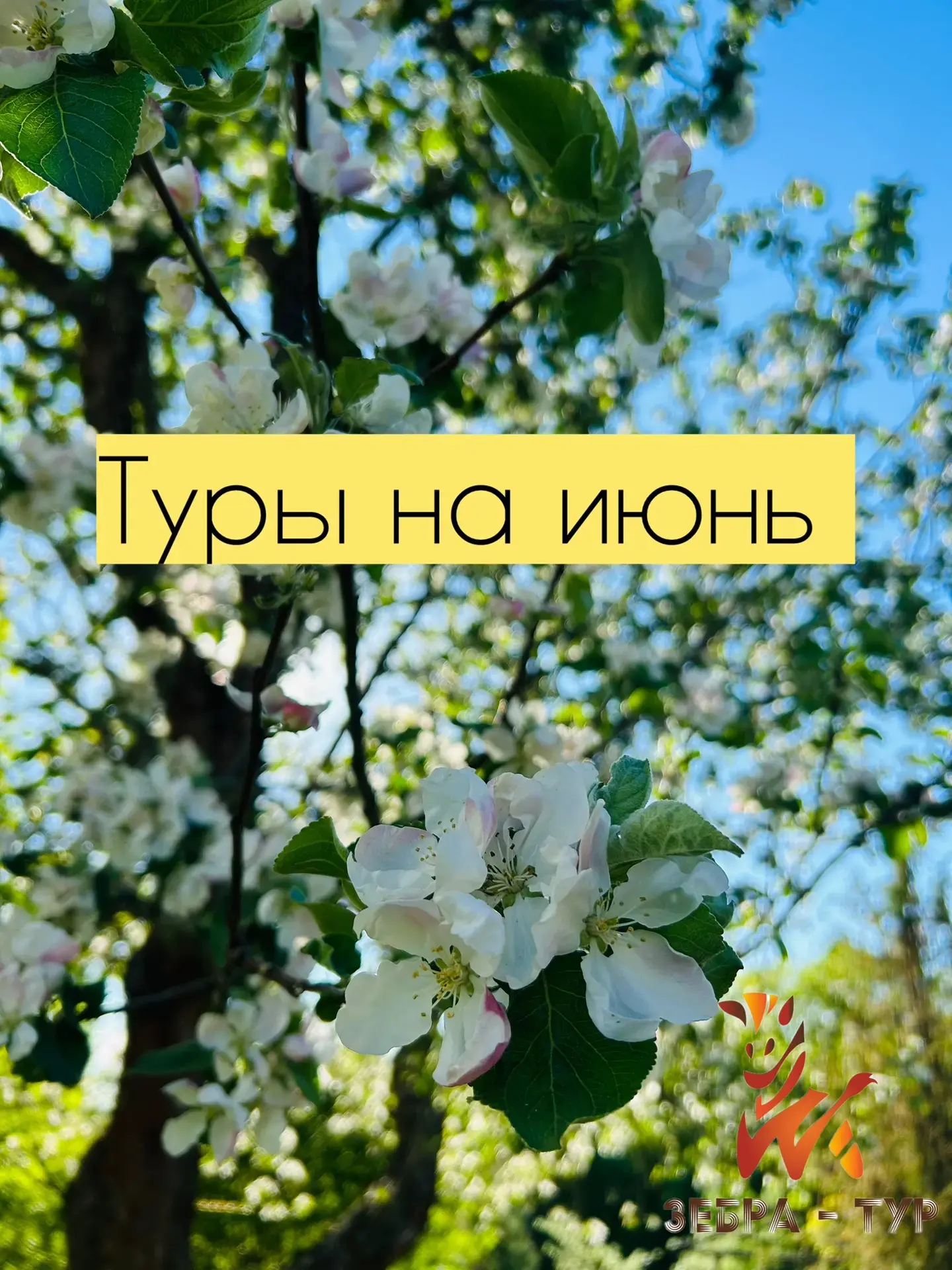 Экскурсии на июнь📎

📍Дагестан+Грозный
📍Грозный-Хунзах-Дербент-Сулакский каньон
✔️10.06-15.06
🟥39