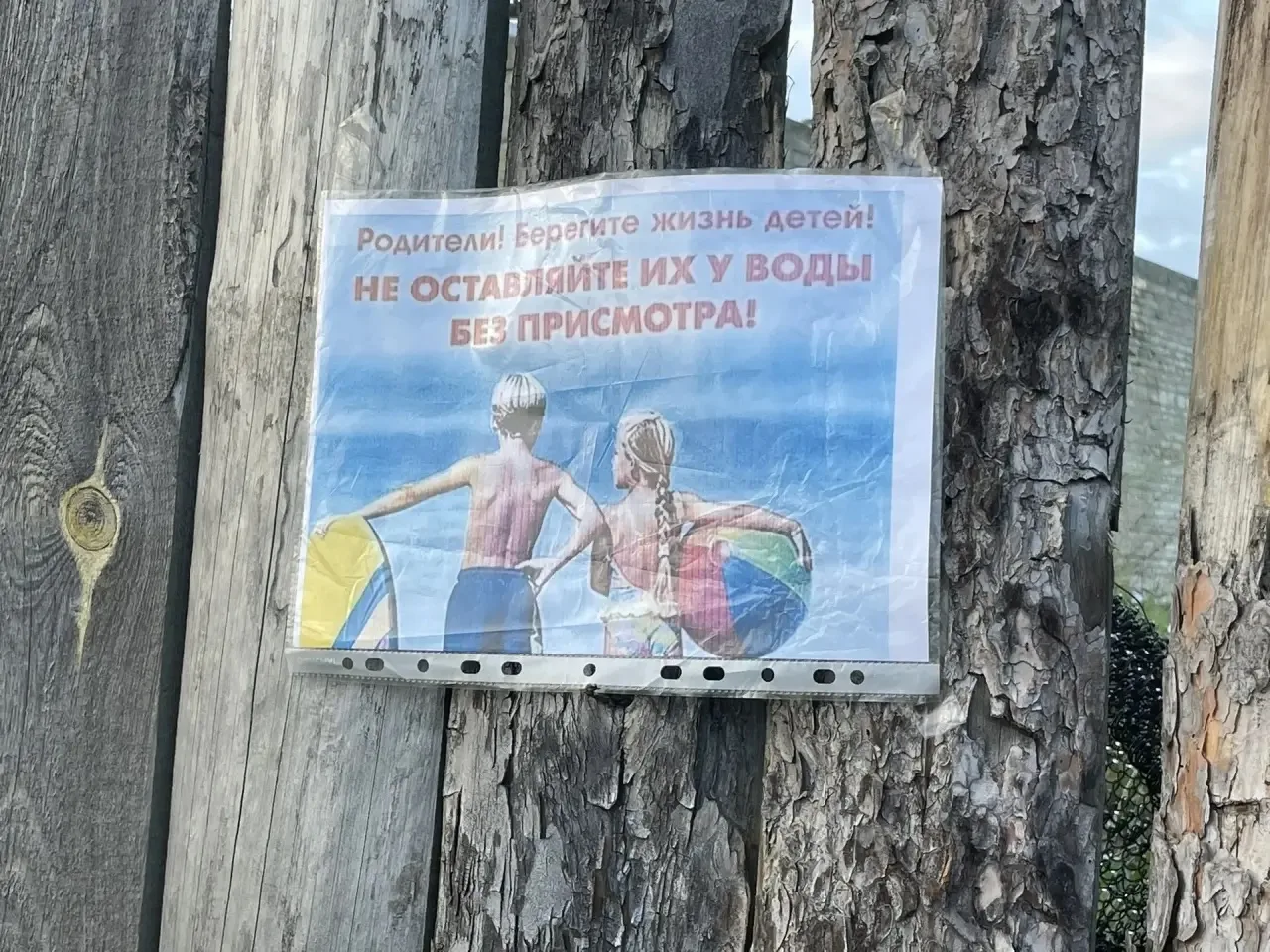 Уважаемы родители! Вода не страшна тем, кто умеет хорошо плавать. Вот почему первым условием безопас