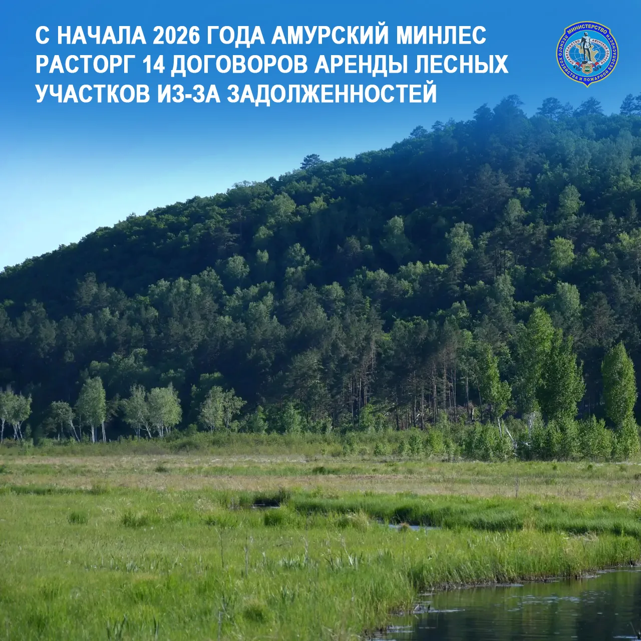 ❌С начала 2026 года Амурский минлес расторг 14 договоров аренды лесных участков из-за задолженностей