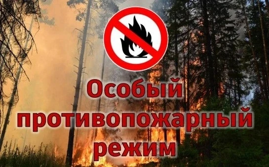 В Башкортостане ввели особый противопожарный режим в лесах. 
Премьер-министр правительства Башкортос