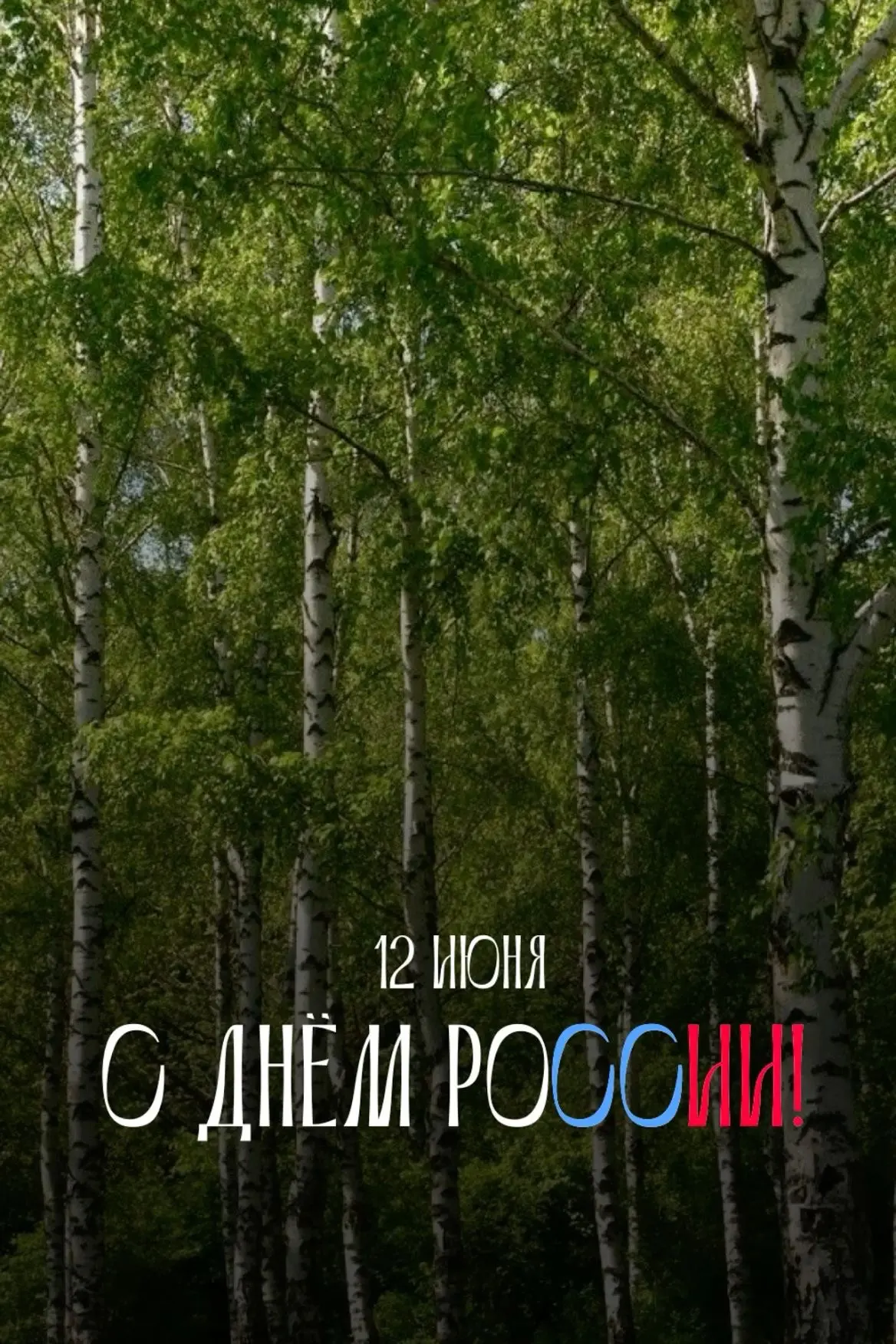 С Днем России, Стрежевой! 

Пусть каждый новый день открывает перед каждым из нас новые возможности 