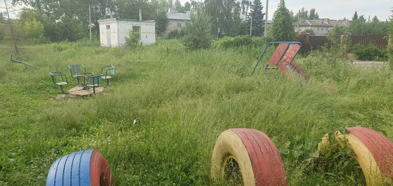 Если можно анонимно)
Д. Овечкино
Травы по пояс, детей не видно, не пройти и не поиграть на детской п