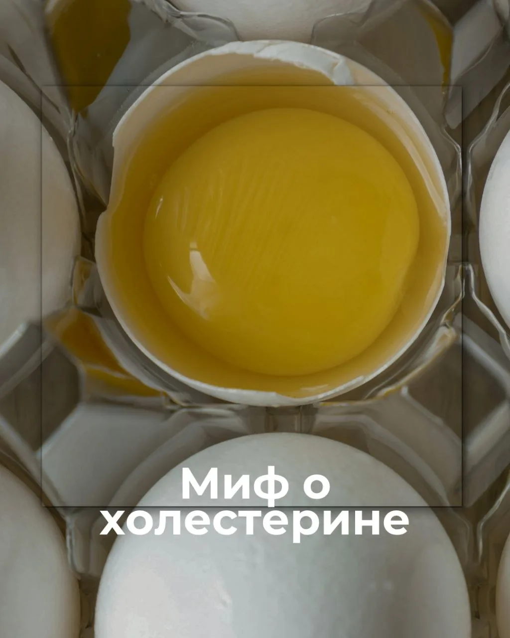 «Не ешь яйца — поднимется холестерин».
«Холестерин забивает сосуды».
«Чем ниже холестерин — тем лучш