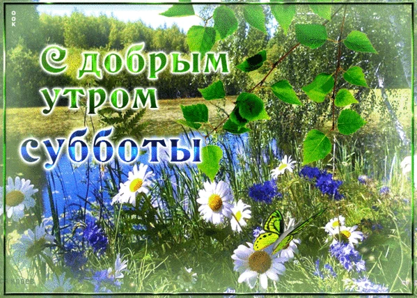 Всем желаю доброго субботнего утра и отличного настроения. В Екатеринбурге.   🌞+17днём ☁️+27  вода 