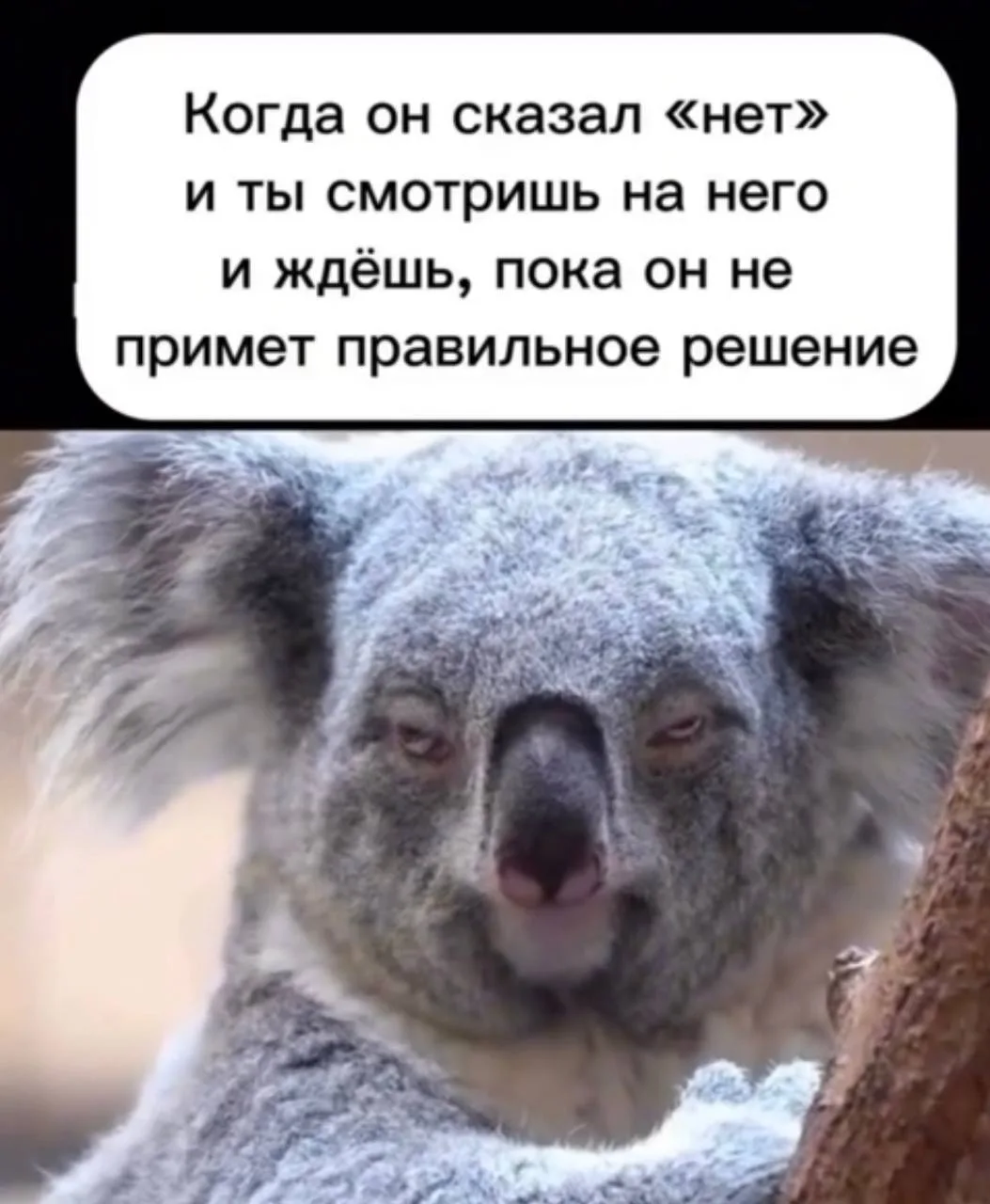 #понеМЕМник