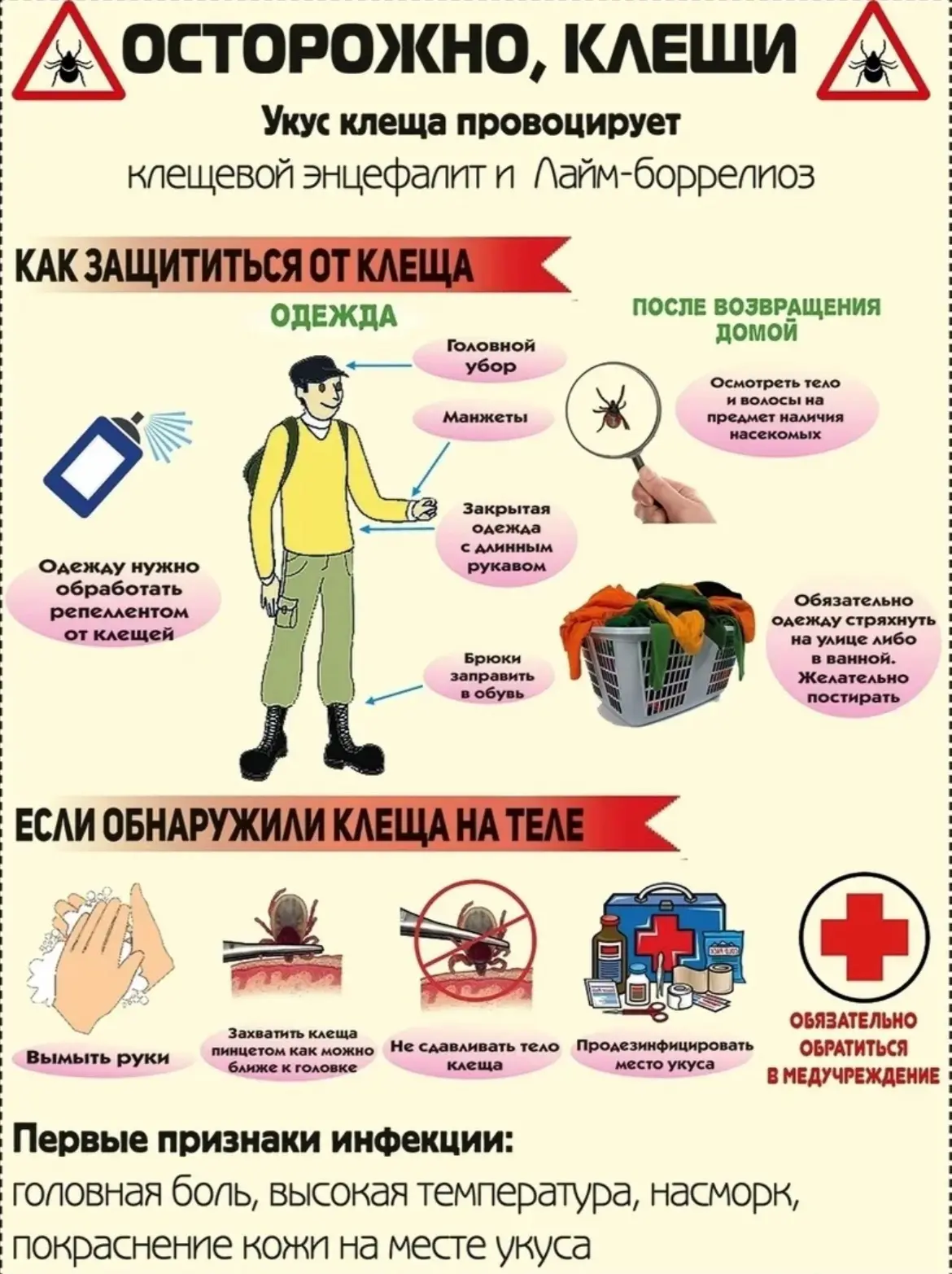 Осторожно, клещи!