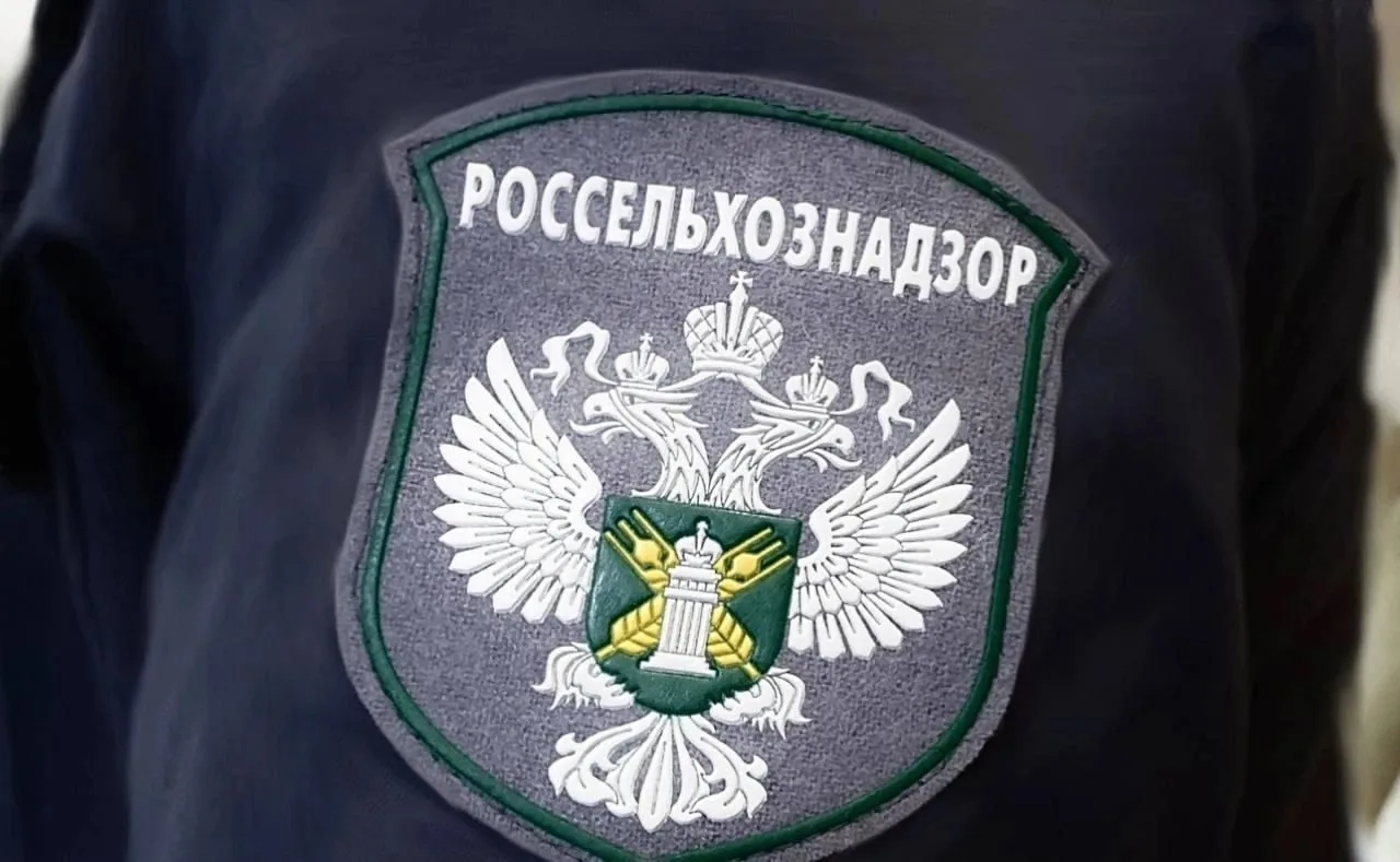 Россельхознадзор провёл 15 рабочих встреч в районах Амурской области по вопросам содержания сельскох