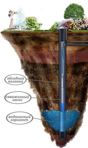 Пока я в Пятигорске, муж заказал работы по бурению абиссинской скважины на гостевом участке.
Как мы 