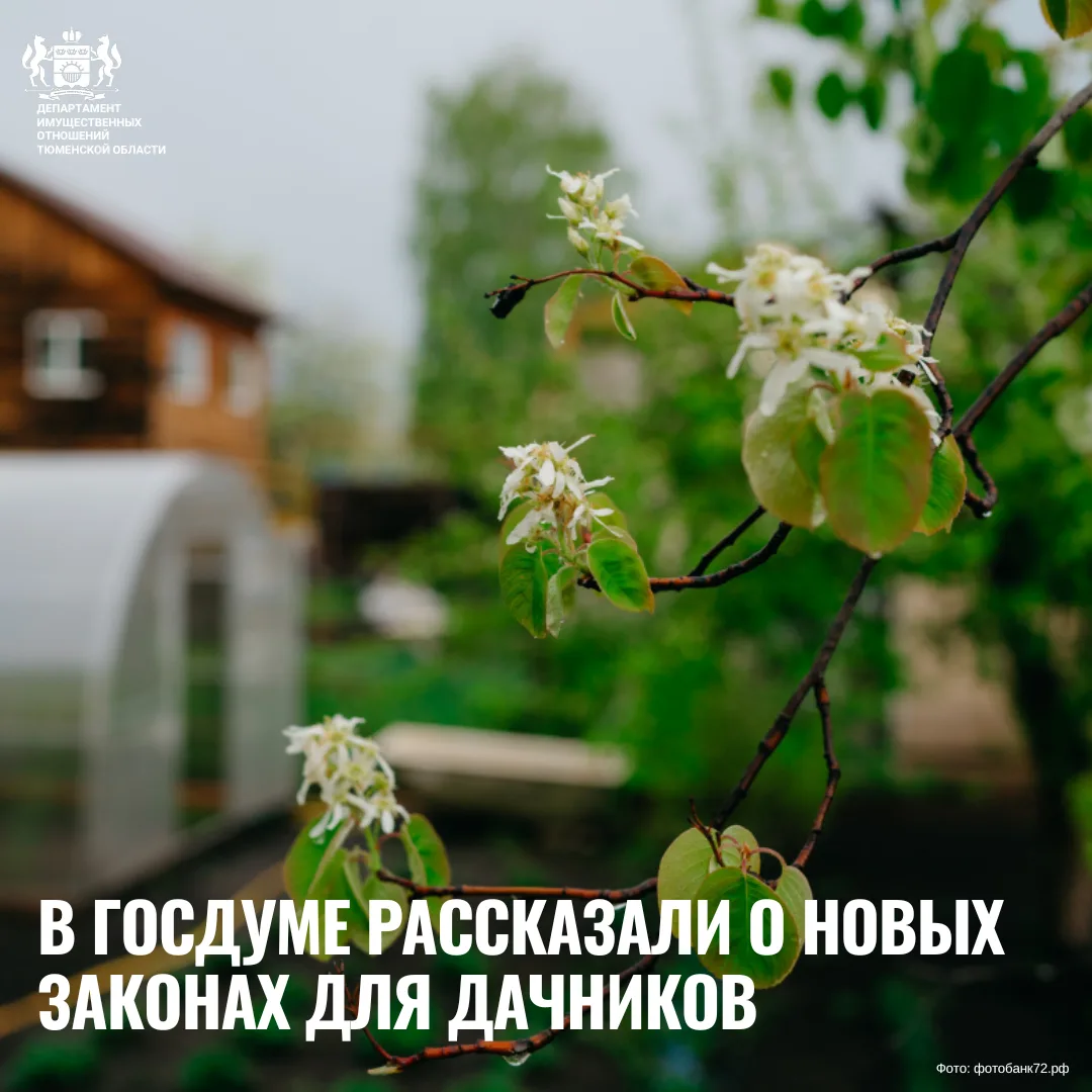 Новые законы для дачников: развеиваем популярные мифы

Дачный сезон в самом разгаре, но в этом году 