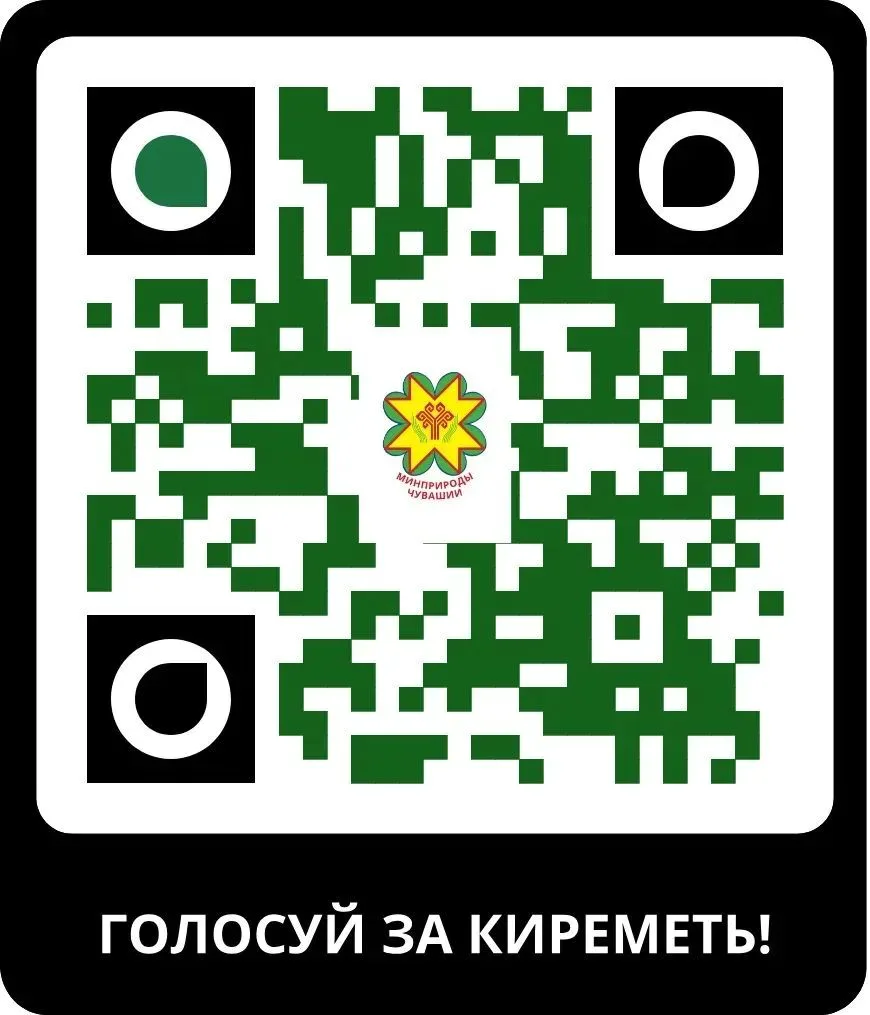 Здравствуйте, дорогие родители! 🌳Хотим обратить ваше внимание на всероссийский конкурс «Главное дер
