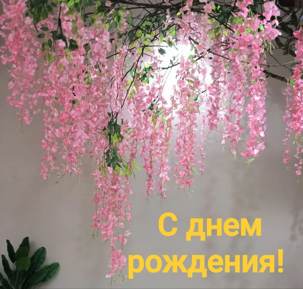 Дорогие подписчики и гости нашего канала!
Сегодня исполняется 6 лет нашей организации "Семьи меняют 
