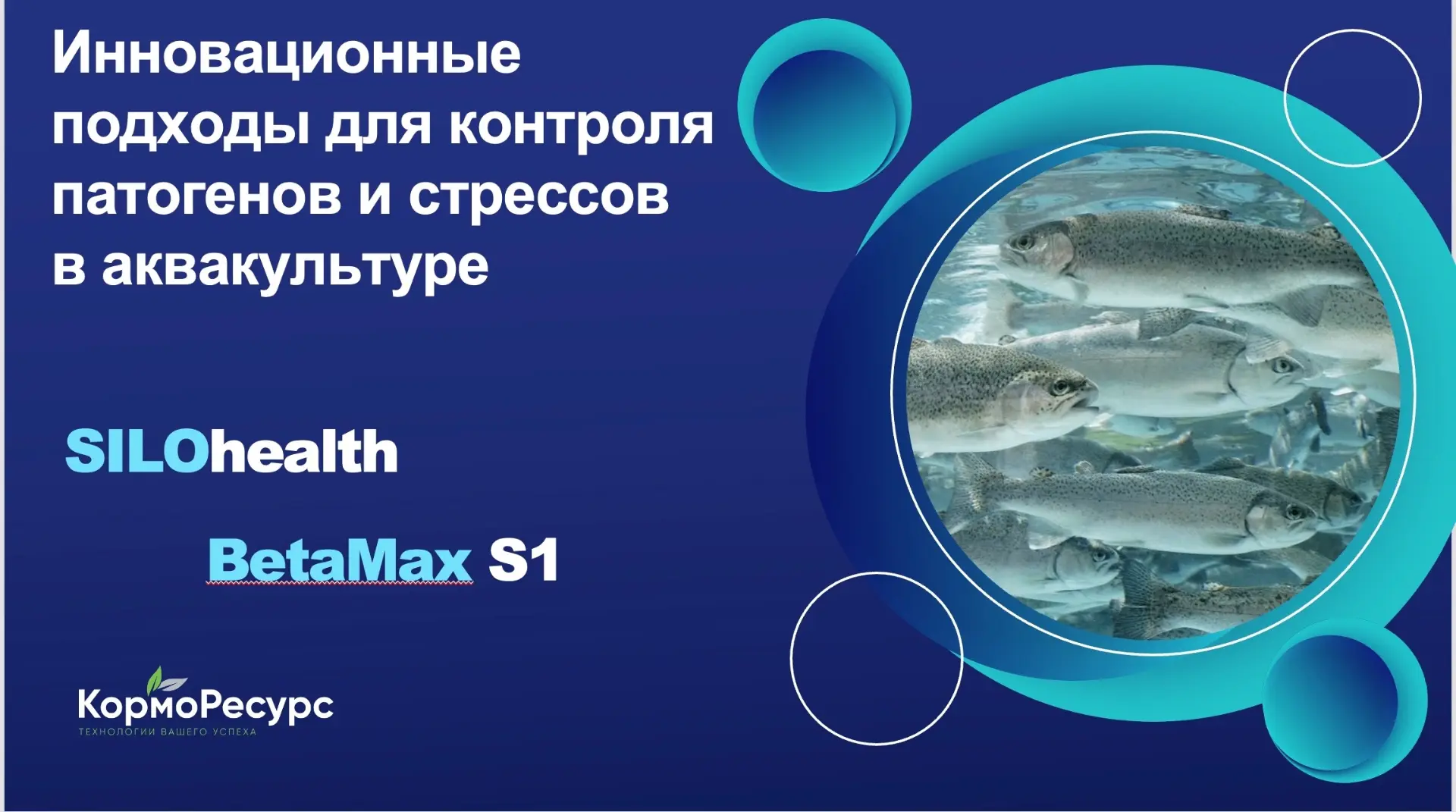 Коллеги, наш вебинар «Инновационные подходы для контроля патогенов и стрессов в аквакультуре» прошел