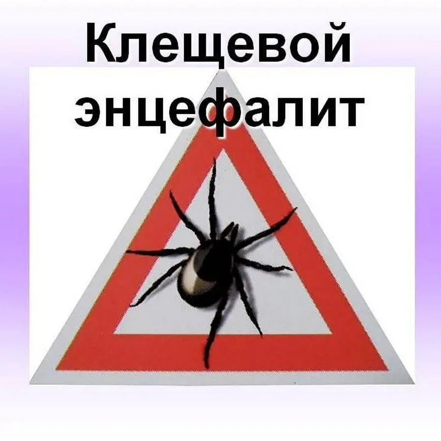 О Всероссийской горячей линии по профилактике клещевого энцефалита и инфекций, передающихся клещами.