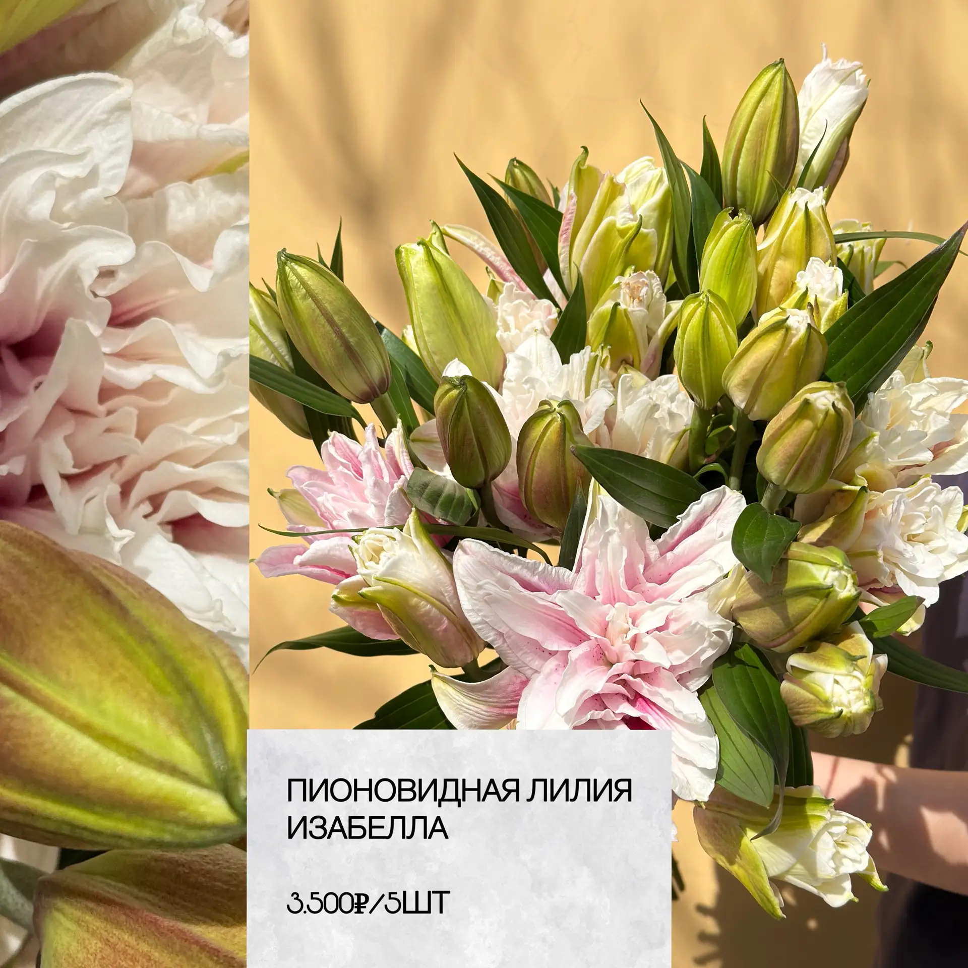 Новая поставка🤍



Сохраняйте фото, присылайте в чат с менеджером и дублируйте название с фото с ну