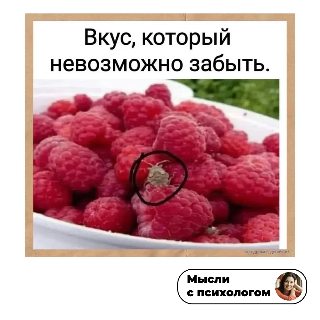 🤣

👉 ссылка на мой блог